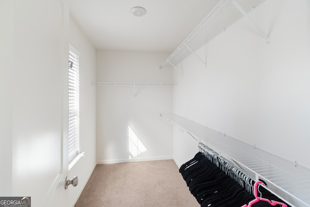 walk in closet with light colored carpet