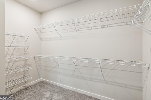 walk in closet featuring carpet floors