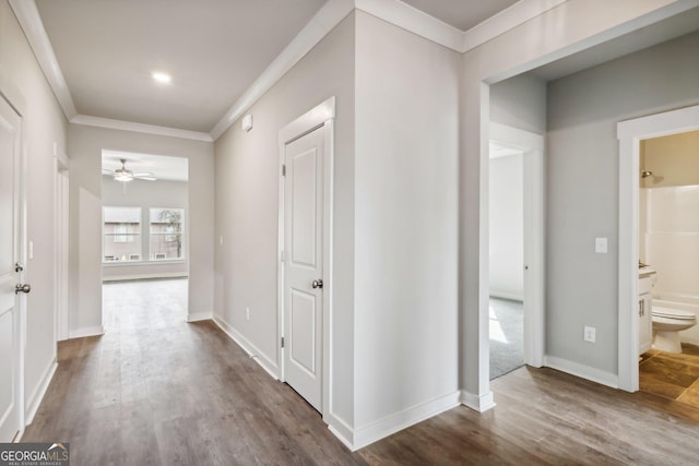 hall featuring hardwood / wood-style floors and crown molding