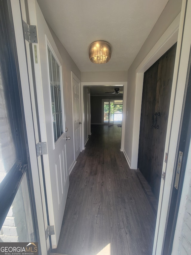 hall with hardwood / wood-style flooring