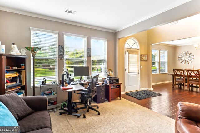 office featuring wood-type flooring and ornamental molding