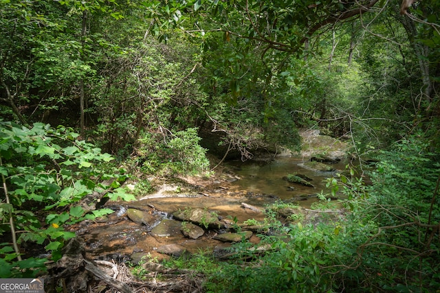 view of local wilderness with a water view