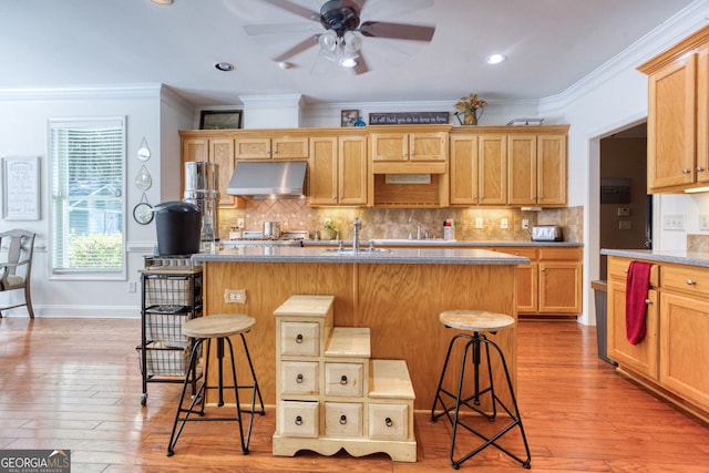 kitchen with light hardwood / wood-style floors, a kitchen breakfast bar, a center island with sink, and ceiling fan