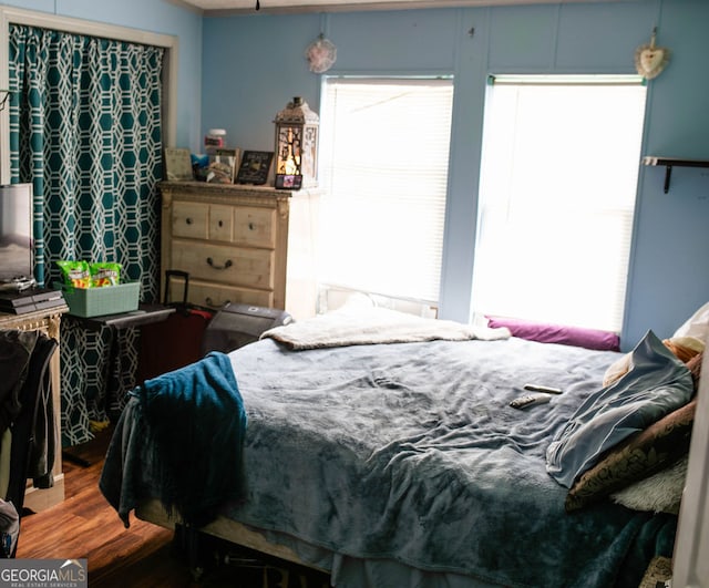 bedroom featuring multiple windows and wood-type flooring