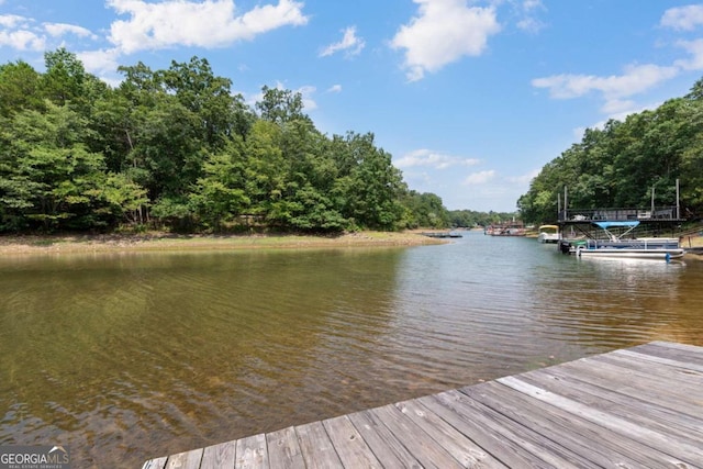 dock area featuring a water view