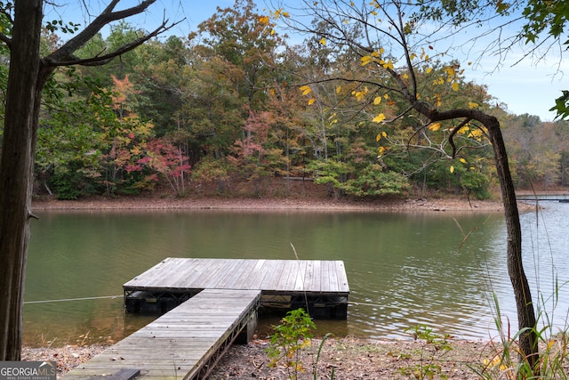 dock area featuring a water view