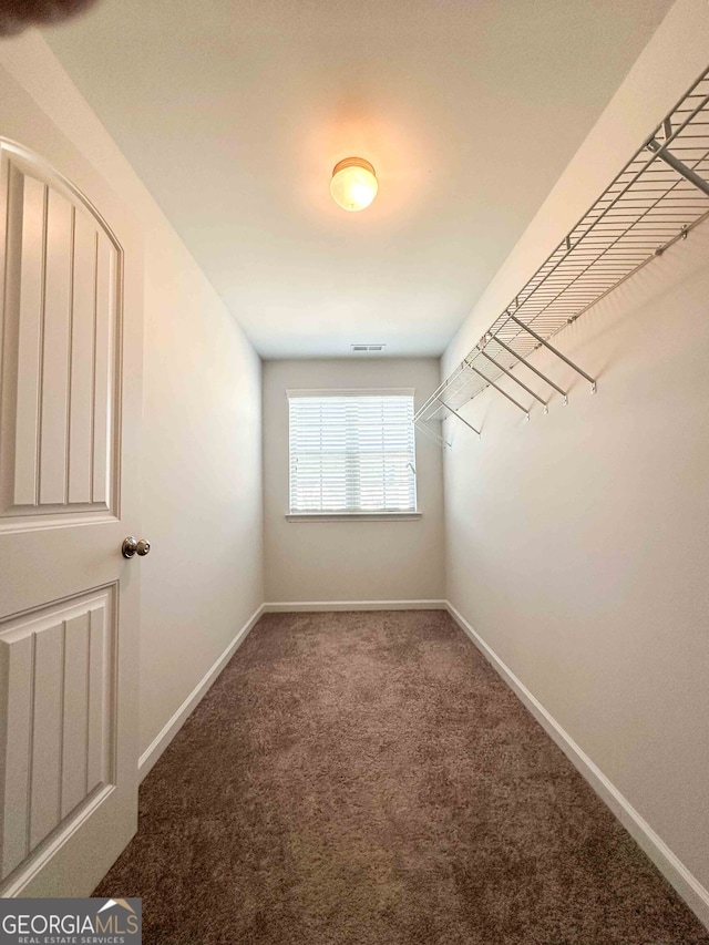 walk in closet with carpet floors