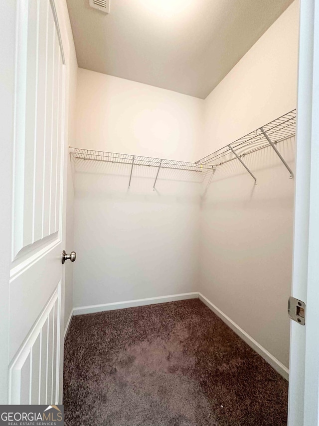 walk in closet with carpet flooring