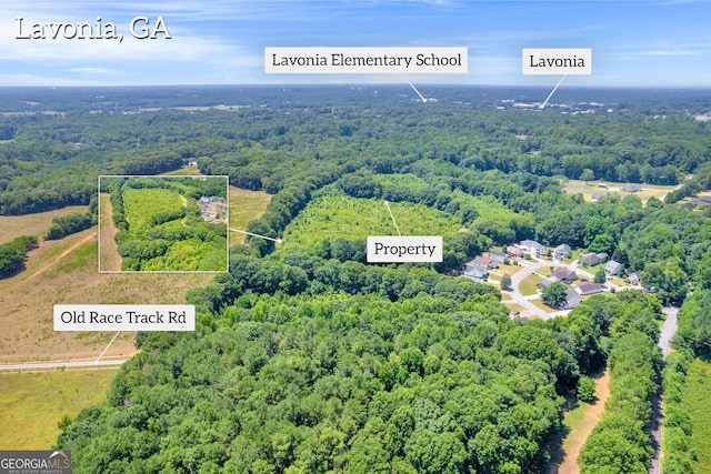 Listing photo 3 for 0 Old Race Track Rd, Lavonia GA 30553