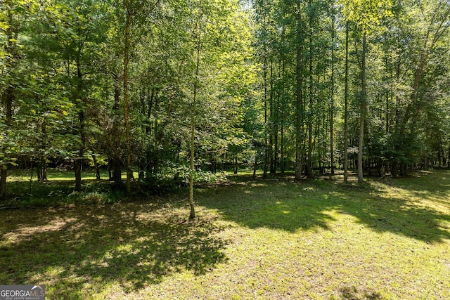 Listing photo 3 for 1 Hogback Dr, Blue Ridge GA 30513