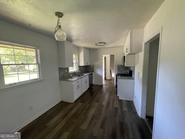 kitchen with backsplash, plenty of natural light, dark hardwood / wood-style flooring, and stainless steel appliances