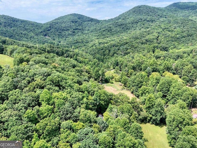 property view of mountains featuring a wooded view