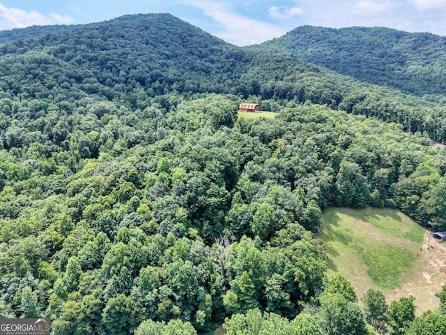 drone / aerial view featuring a mountain view