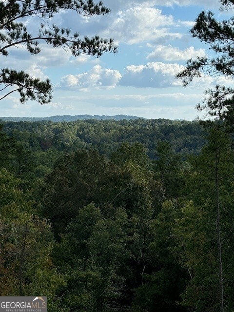 LOT62 High River Lndg, Ellijay, GA 30540