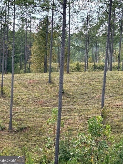 LOT62 High River Lndg, Ellijay, GA 30540