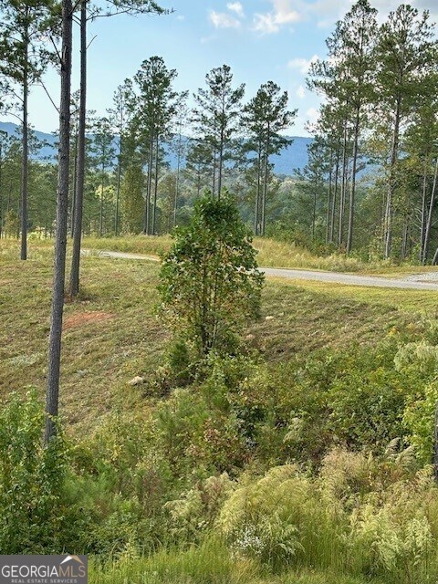 LOT62 High River Lndg, Ellijay, GA 30540