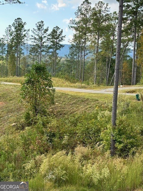LOT62 High River Lndg, Ellijay, GA 30540