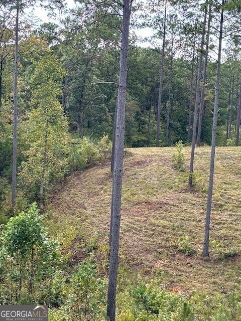 LOT62 High River Lndg, Ellijay, GA 30540