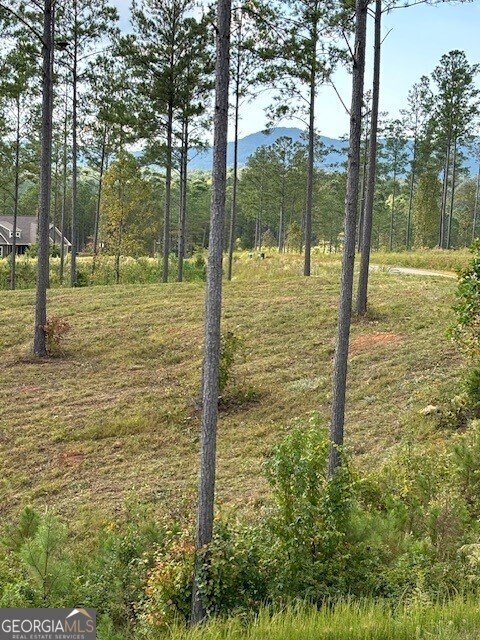 LOT62 High River Lndg, Ellijay, GA 30540