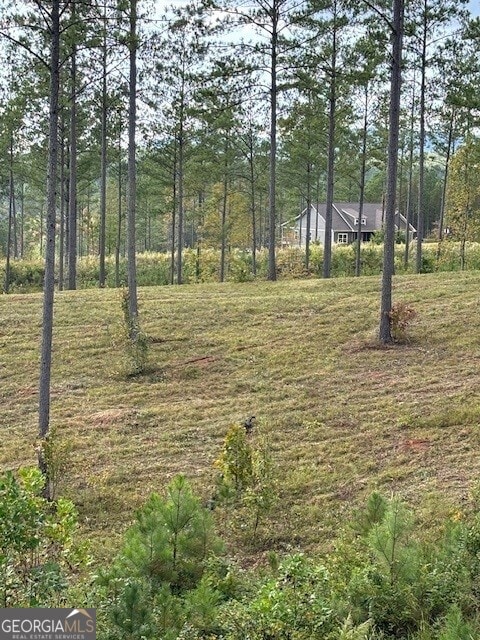 LOT62 High River Lndg, Ellijay, GA 30540
