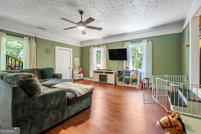 living room with hardwood / wood-style flooring, plenty of natural light, and a textured ceiling