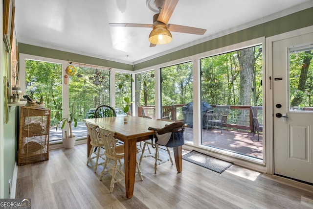 sunroom / solarium with ceiling fan