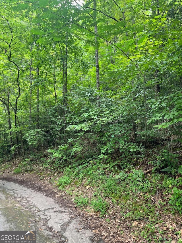 LOT12 Kilpatrick Point Ter, Hayesville NC, 28904 land for sale