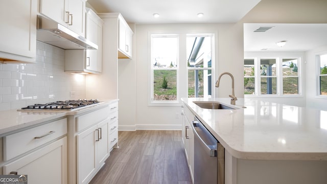 kitchen featuring stainless steel appliances, light hardwood / wood-style floors, a healthy amount of sunlight, and sink