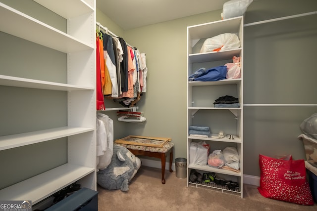 walk in closet with carpet floors