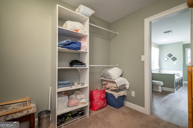 spacious closet with hardwood / wood-style flooring