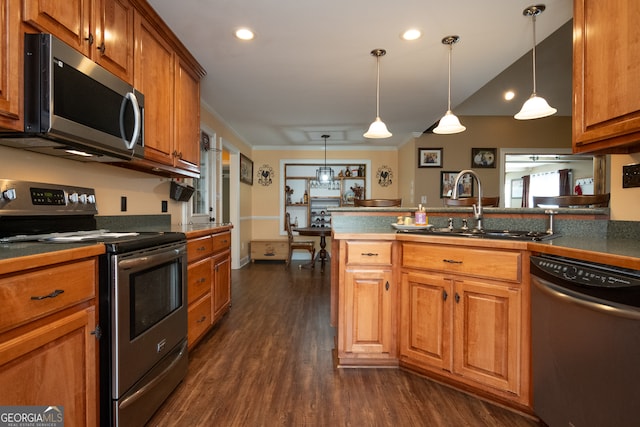 kitchen with pendant lighting, dark hardwood / wood-style flooring, stainless steel appliances, and sink