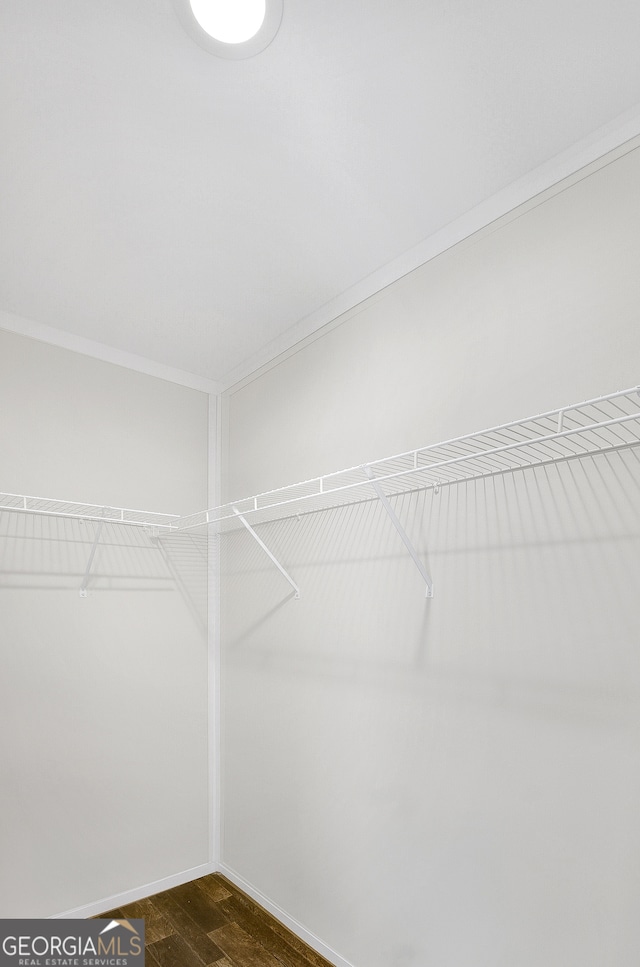 walk in closet featuring dark hardwood / wood-style flooring