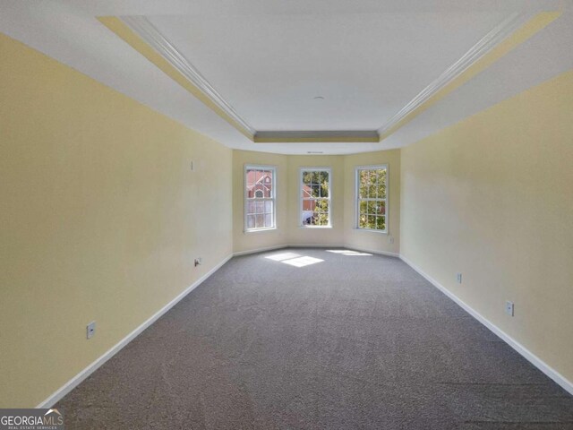 carpeted empty room with a tray ceiling and ornamental molding