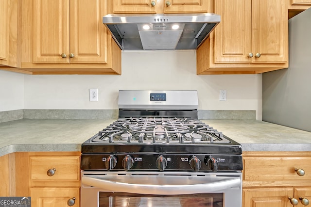 kitchen with stainless steel range with gas cooktop