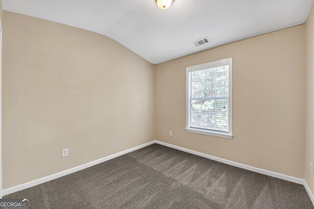 empty room with lofted ceiling, carpet flooring, and a textured ceiling