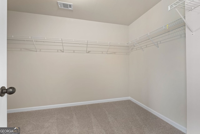 walk in closet featuring carpet