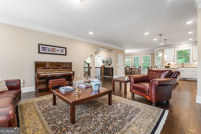 living room with ornamental molding and dark hardwood / wood-style floors