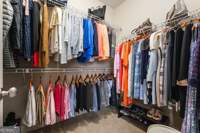 spacious closet featuring carpet floors