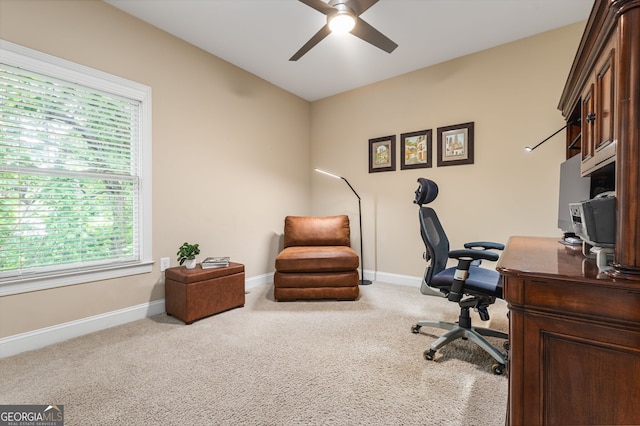 office with a wealth of natural light, ceiling fan, and carpet