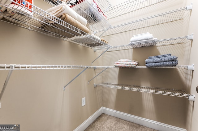 spacious closet featuring carpet flooring