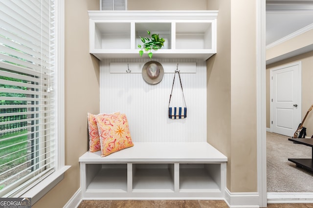 mudroom featuring crown molding and carpet flooring