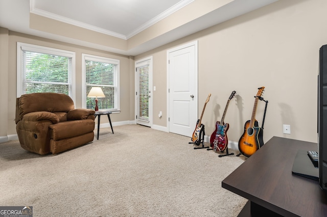 interior space featuring a raised ceiling, carpet, and crown molding