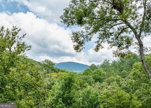 view of mountain feature