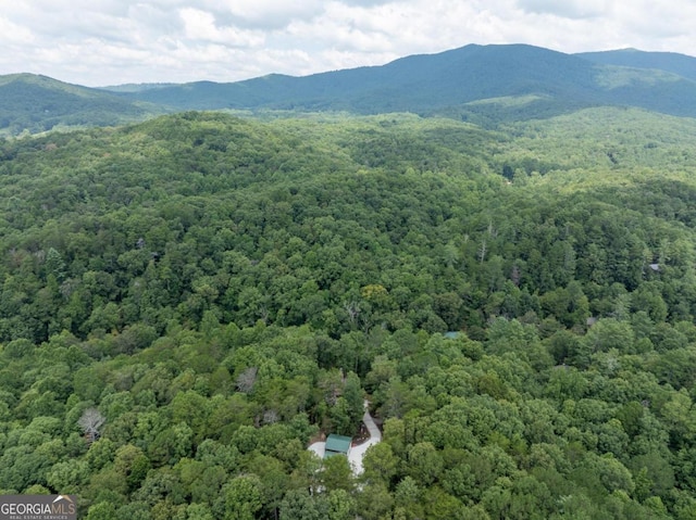 view of mountain feature