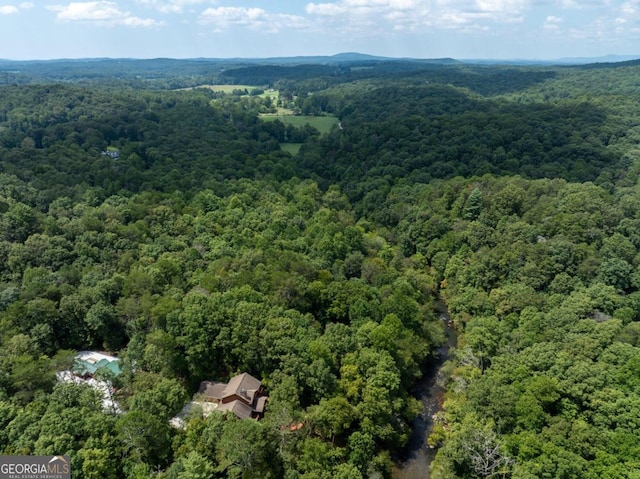 bird's eye view