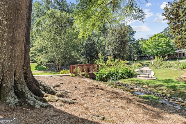 view of yard featuring a deck