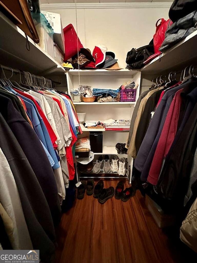 walk in closet featuring wood finished floors