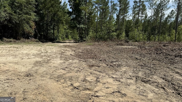 Listing photo 3 for 0 County Road 138 Lot 6, Opelika AL 36804