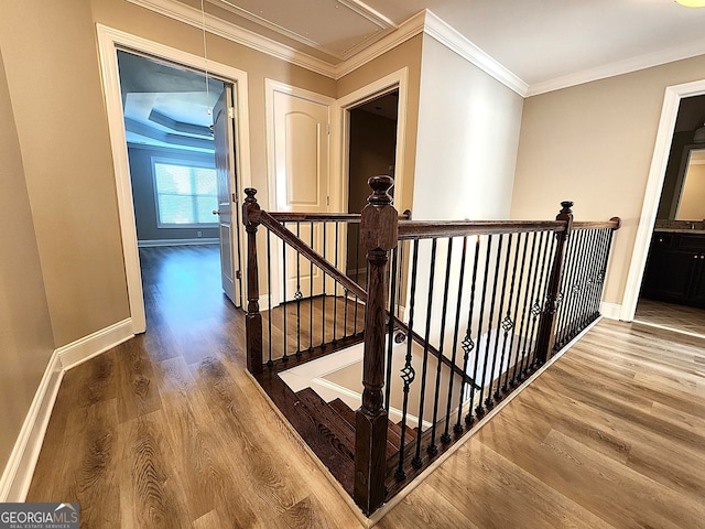 interior space featuring hardwood / wood-style floors and ornamental molding