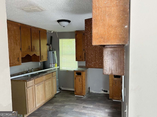 kitchen with sink, a textured ceiling, water heater, and dark wood-type flooring